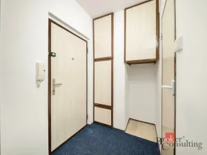 Prodej bytu 1+kk, Kladno - Kročehlavy, Anglická, 25 m2