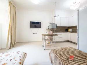 Prodej bytu 1+kk, Praha - Žižkov, Rokycanova, 35 m2