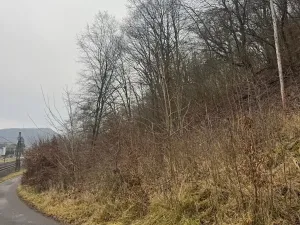 Prodej lesa, Ústí nad Labem, 9837 m2