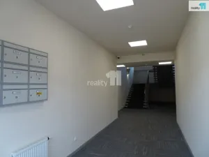 Pronájem kanceláře, Ústí nad Labem - Ústí nad Labem-centrum, Žižkova, 35 m2