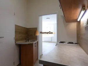 Pronájem bytu 1+kk, Praha - Nusle, Žateckých, 30 m2