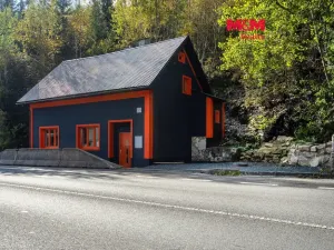 Prodej obchodního prostoru, Železný Brod - Těpeře, 100 m2