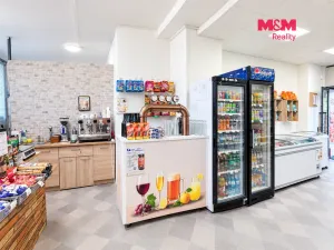 Pronájem obchodního prostoru, Praha, Hartigova, 53 m2
