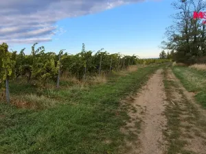 Prodej pole, Bzenec, 2653 m2