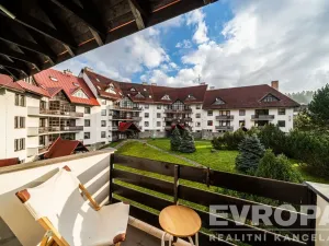 Pronájem bytu 1+kk, Harrachov - Nový Svět, 29 m2