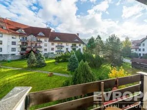 Pronájem bytu 1+kk, Harrachov - Nový Svět, 29 m2