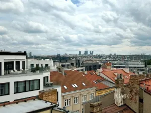 Pronájem bytu 2+1, Praha - Smíchov, Holečkova, 99 m2