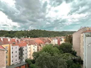 Pronájem bytu 2+1, Praha - Smíchov, Holečkova, 99 m2