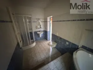 Prodej rodinného domu, Terezín - České Kopisty, 1041 m2