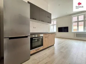 Pronájem bytu 1+1, Chomutov, Klostermannova, 41 m2