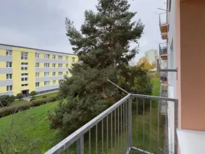 Pronájem bytu 2+1, Česká Lípa, Antonína Sovy, 50 m2