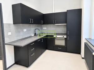 Pronájem bytu 2+kk, Praha - Nusle, Vladimírova, 47 m2