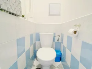 Pronájem bytu 2+1, Ostrov, S. K. Neumanna, 64 m2