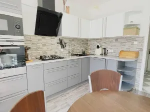 Pronájem bytu 2+1, Ostrov, S. K. Neumanna, 64 m2