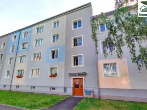 Prodej bytu 1+1, Cheb, Pastýřská, 34 m2