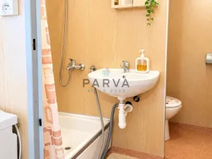 Pronájem bytu 1+kk, Plzeň - Severní Předměstí, Brněnská, 33 m2