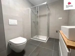 Pronájem bytu 1+kk, Plzeň - Bolevec, Krašovská, 36 m2
