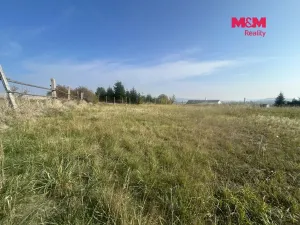 Prodej pozemku pro bydlení, Čížová - Bošovice, 1927 m2