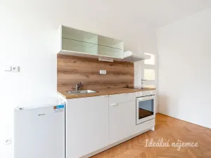 Pronájem bytu 1+kk, Praha - Žižkov, Pod lipami, 20 m2