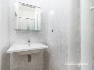 Pronájem bytu 1+kk, Praha - Žižkov, Pod lipami, 20 m2