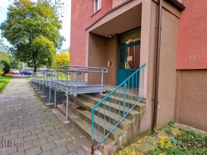 Prodej bytu 1+1, Havířov, Kosmonautů, 36 m2
