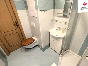 Pronájem bytu 2+1, Ústí nad Labem - Severní Terasa, Ladova, 62 m2