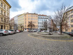 Prodej bytu 3+1, Praha - Vinohrady, Americká, 68 m2