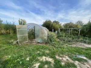 Prodej zahrady, Velké Bílovice, U Rybníka, 461 m2