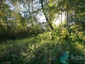 Prodej zemědělské usedlosti, Miličín - Nové Dvory, 121 m2