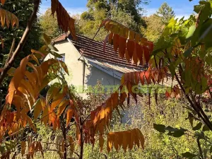 Prodej chalupy, Pržno, 119 m2