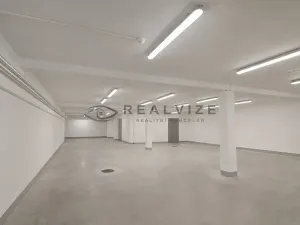 Prodej vícegeneračního domu, České Budějovice, J. Dobrovského, 830 m2