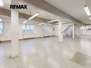 Prodej výrobních prostor, Hlinsko, Wilsonova, 2147 m2