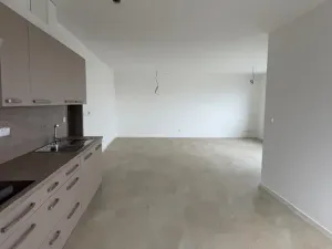 Pronájem bytu 3+kk, Mnichovo Hradiště, V Cestkách, 95 m2