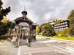 Prodej pozemku pro bydlení, Václavov u Bruntálu - Horní Václavov, 521 m2