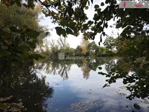 Prodej bytu 3+kk, Ovčáry, 90 m2