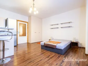 Pronájem bytu 1+kk, Praha - Žižkov, Viklefova, 38 m2