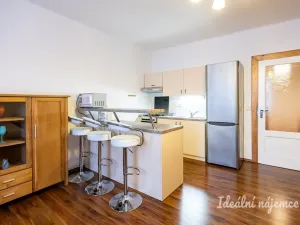 Pronájem bytu 1+kk, Praha - Žižkov, Viklefova, 38 m2