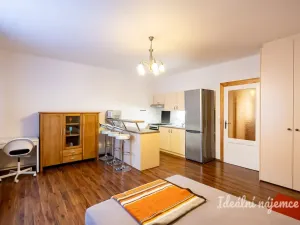 Pronájem bytu 1+kk, Praha - Žižkov, Viklefova, 38 m2
