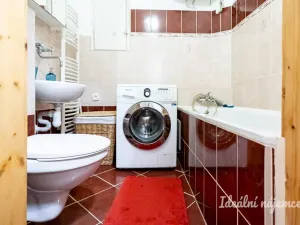 Pronájem bytu 1+kk, Praha - Žižkov, Viklefova, 38 m2