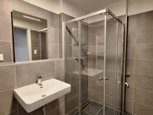 Pronájem bytu 1+kk, Praha - Karlín, Švarcova, 31 m2