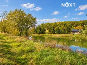 Prodej pozemku pro bydlení, Pavlov, 1300 m2