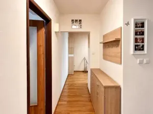 Prodej bytu 3+1, Hodonín, 60 m2