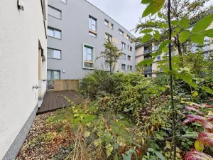 Prodej bytu 2+kk, Praha - Žižkov, Olgy Havlové, 66 m2