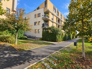 Prodej bytu 2+kk, Praha - Žižkov, Olgy Havlové, 66 m2