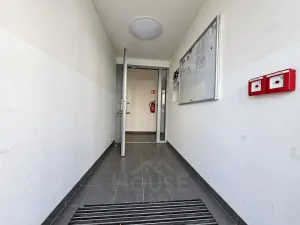 Prodej bytu 2+kk, Praha - Žižkov, Olgy Havlové, 66 m2