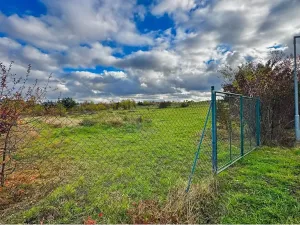 Prodej komerčního pozemku, Tachlovice, 6000 m2