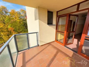 Prodej bytu 1+1, Litvínov - Horní Litvínov, Koldům, 49 m2