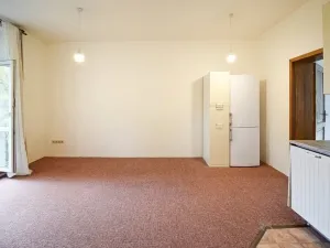 Prodej rodinného domu, Plzeň - Východní Předměstí, náměstí Milady Horákové, 150 m2