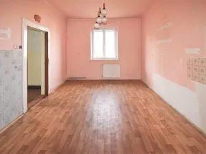Prodej rodinného domu, Plzeň - Východní Předměstí, náměstí Milady Horákové, 150 m2