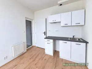 Pronájem bytu 1+kk, Praha - Břevnov, Na břevnovské pláni, 20 m2